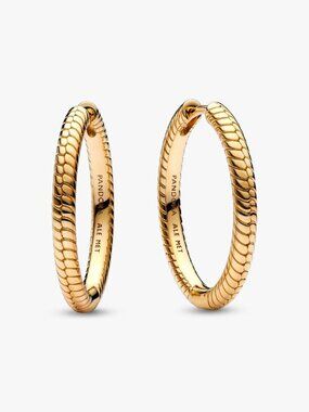 Pandora Moments Charm Hoop Earrings